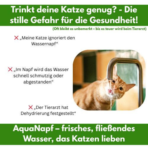 AquaNapf™ | Ersatzfilter-Set – Für dauerhaft sauberes Wasser