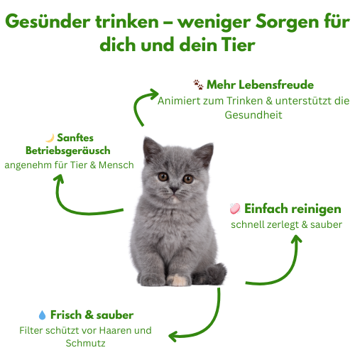 AquaNapf™ | Für mehr gemeinsame Jahre mit deinem Liebling