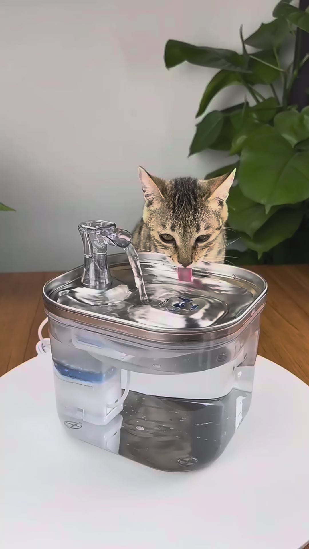 AquaNapf™ | Für mehr gemeinsame Jahre mit deinem Liebling